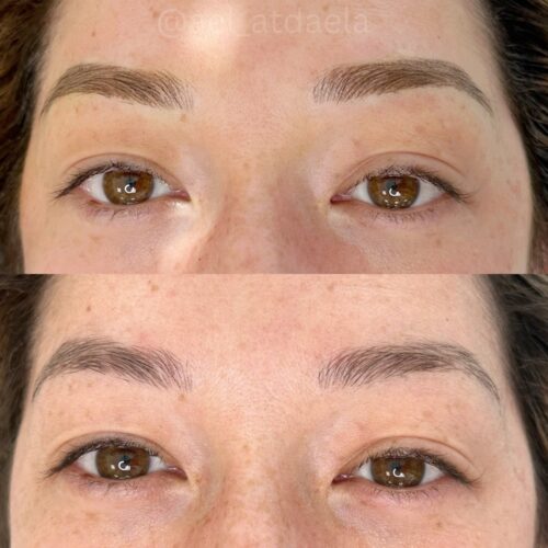 Ombre Powder Brows Vancouver DAELA Amie