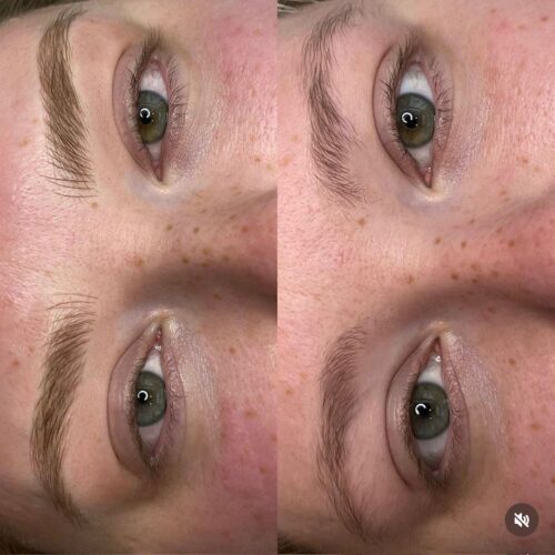 Nanoblading Vancouver DAELA Erica