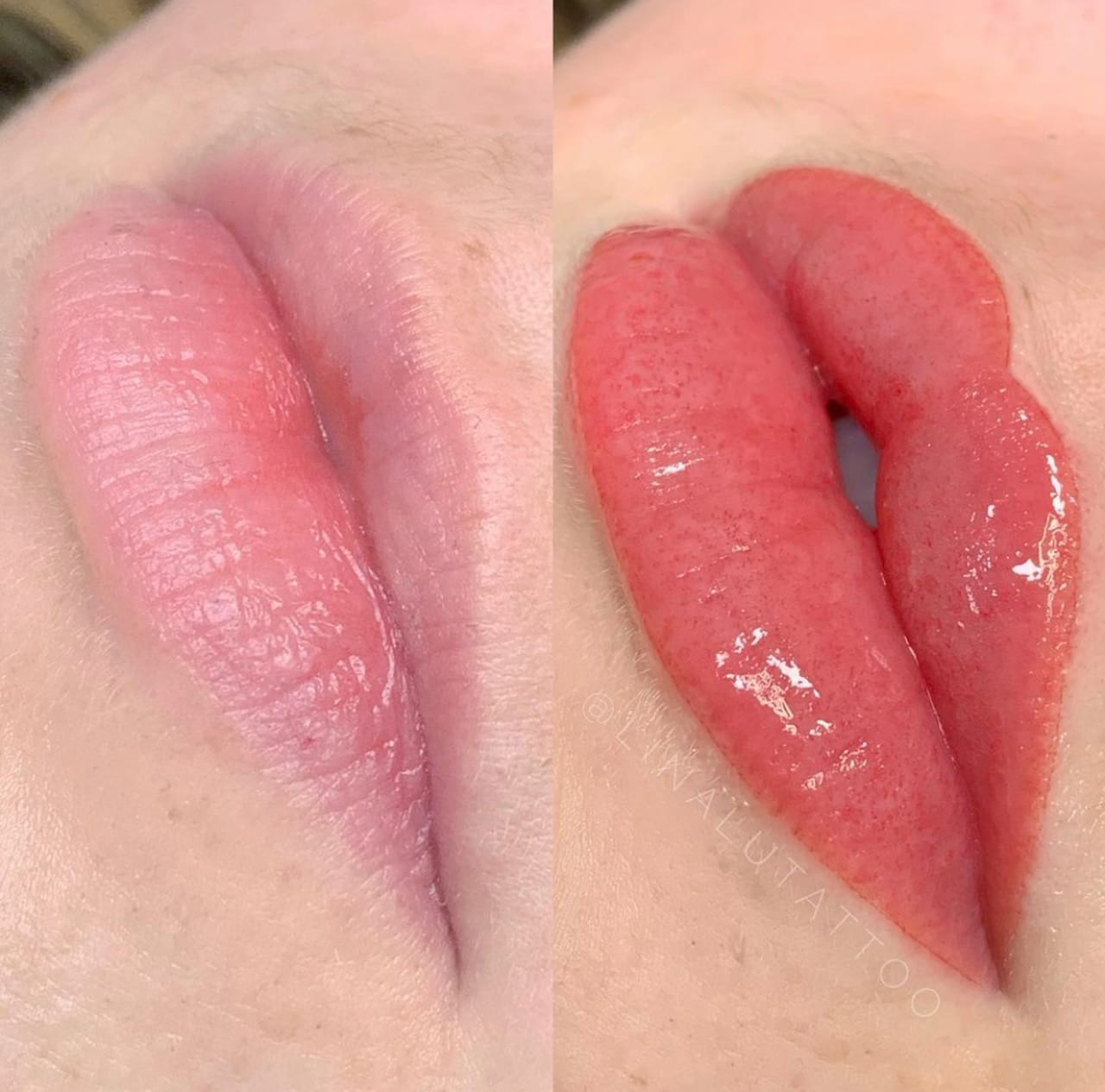 Lip Blush Tattoo Portland DAELA Lina Lip Blush Tattoo Portland DAELA Lina