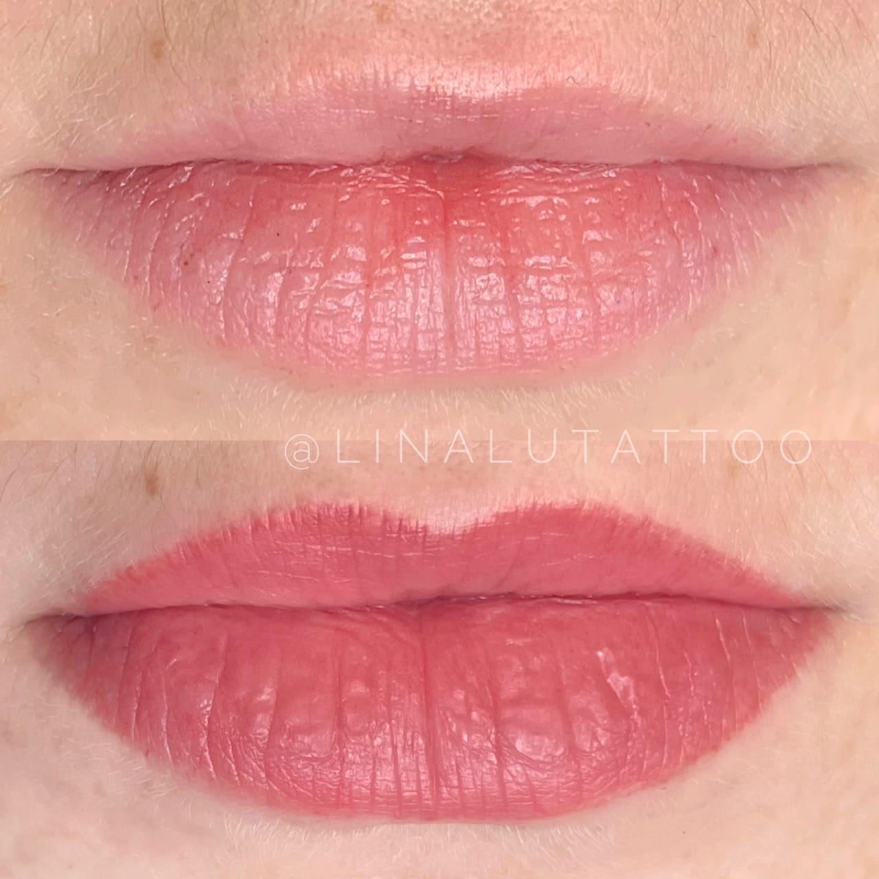 Lip Blush Tattoo Portland DAELA Lina Lip Blush Tattoo Portland DAELA Lina