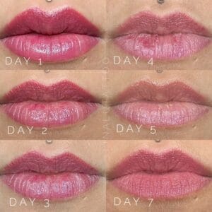 Lip Blush Tattoo Portland DAELA Lina Lip Blush Tattoo Portland DAELA Lina