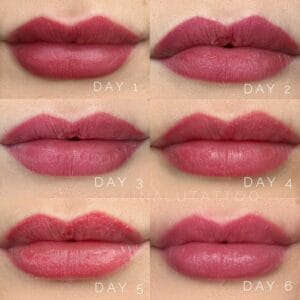 Lip Blush Tattoo Portland DAELA Lina Lip Blush Tattoo Portland DAELA Lina