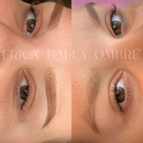 Ombre Brows at DAELA Portland by Erica