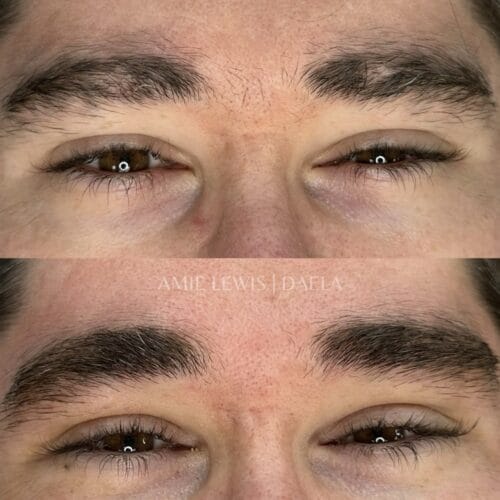 Ombre Brows in Portland at DAELA by Amie