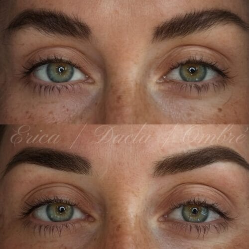 Ombre Brows at DAELA Portland by Erica