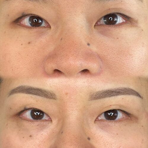 Ombre Powder Brows in Portland at DAELA