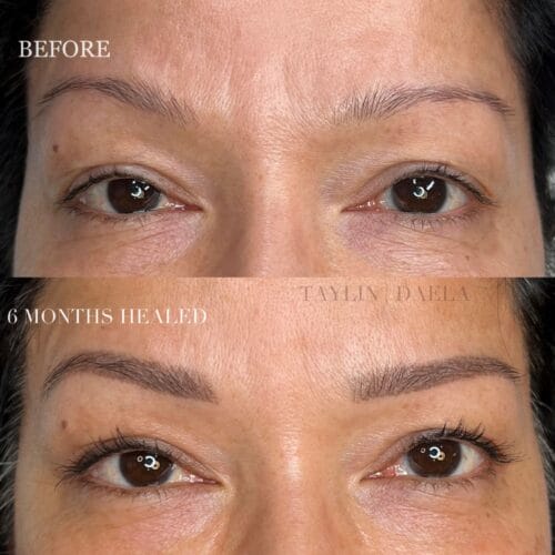 Ombre Brows Daela Portland Taylin