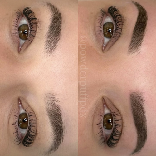 Ombre Powder Brows Vancouver DAELA Amie