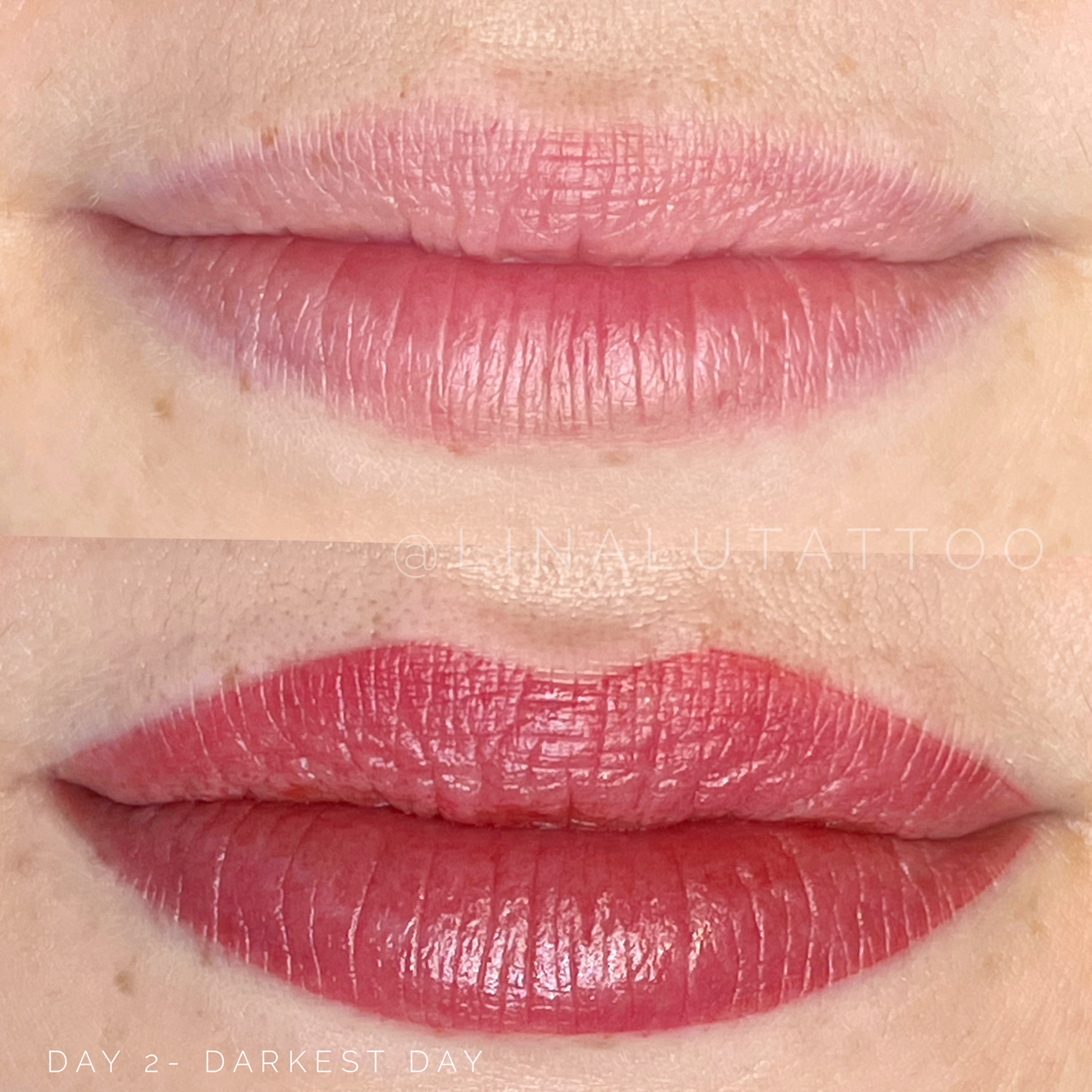 Lip Blush Tattoo Portland DAELA Lina Lip Blush Tattoo Portland DAELA Lina